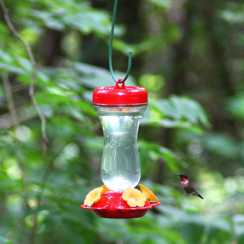 Perky-Pet 131TF 16-Ounce Glass Top Fill Hummingbird Feeder, Red...