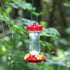 Perky-Pet 131TF 16-Ounce Glass Top Fill Hummingbird Feeder, Red...