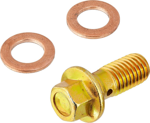 Carlson Quality Brake Parts H9458-2 Inlet Bolt...