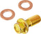 Carlson Quality Brake Parts H9458-2 Inlet Bolt...