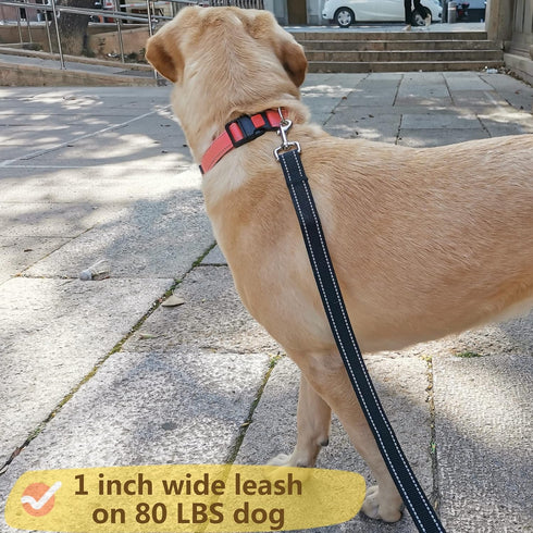 Reflective Dog Leash for Large&Medium and Small Dogs, Strong and Durable Nylon Leashes for Walking and Training, Heavy Duty 6 Foot Leash with D Ri...