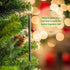 Scentsicles - 01647-012 Scented Christmas Ornaments for Christmas Tree, All Natural Holiday Air Freshener (Spiced Pine Cones Holiday Fragrance) In...