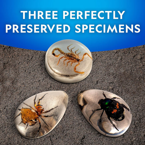 NATIONAL GEOGRAPHIC Real Bug Dig Kit - Dig up 3 Real Insects including Spider, Fortune Beetle and Scorpion - Great STEM Science Gift...