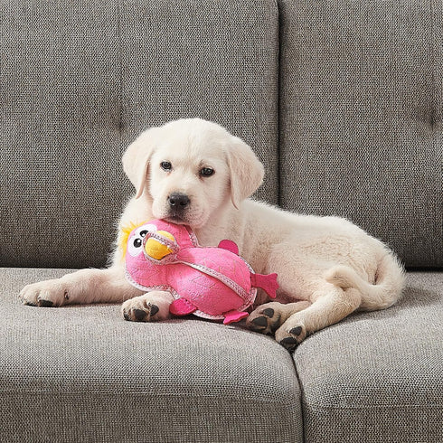Outward Hound Xtreme Seamz Flamingo Squeaky Durable Dog Toy...