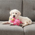 Outward Hound Xtreme Seamz Flamingo Squeaky Durable Dog Toy...
