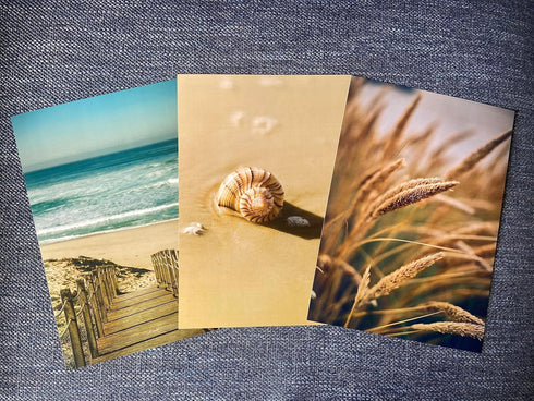 Sandy Beach Landscape Set of 3 Unframed Wall Prints, Coastal Sea Shell Ocean Waves Beach Path Wooden Bridge Reeds Posters, Bathroom Living Room Be...