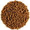 Fenugreek Seed Organic Quality Seeds - Culinairy Grade - Real Trigonella Foenum-graecum - Fenegreek Fenugreek Organic Fenugrec Seed Funegreek Seed...