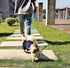 6FT Reflective Dog Leash for Large&Medium and Small Dogs, Strong and Durable Nylon Leashes for Walking and Training, Heavy Duty 6 Foot Dog Leash w...
