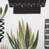 DII Urban Cactus Kitchen Collection, 14x72 Tablerunner...