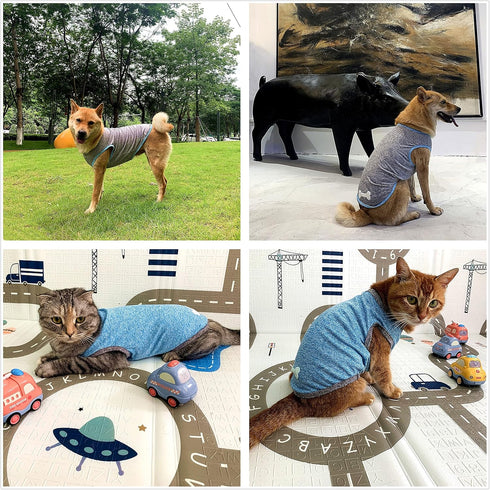 Dog and Cat Shirt in Tech Fabric with Luminous Print, Pet Clothes for Large, Medium, and Small Dogs, 2-Pack of Lightweight Functional t-Shirts...