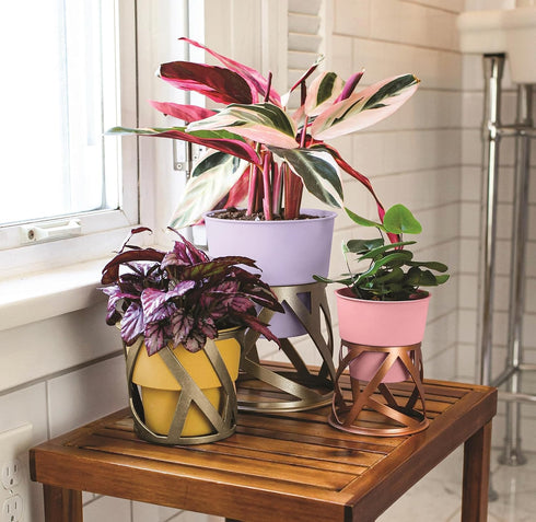 The HC Companies 5 inch Indoor Plant Pot with Stand – Small Curio Blush Planter with a Geometric Stand in a Copper Finish...