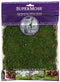 SuperMoss (21509) Sheet Moss Preserved, Fresh Green, 2oz...