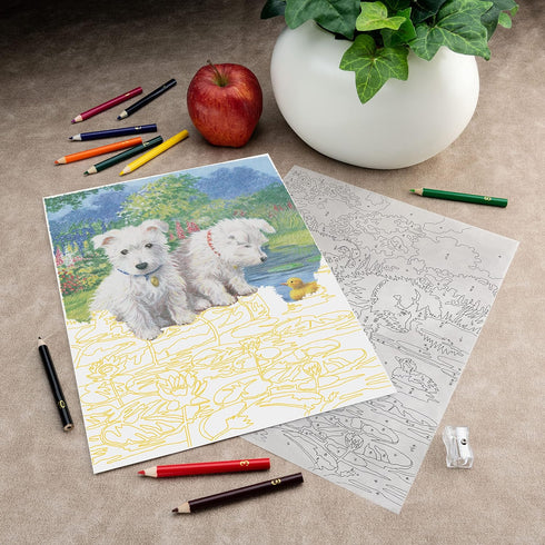 Royal Brush Color Pencil by Number Kit 8.75"X11.75"-Westie Pups, Multicolor...