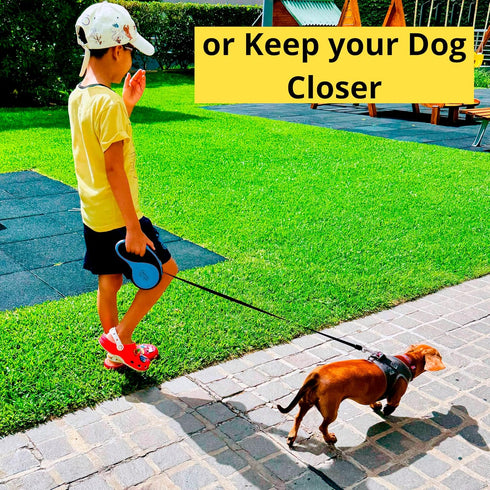 Dog Leash - Retractable Leash for Pets, Puppies, Small and Medium Breeds. Tangle Free 16FT Extendable Leash for Dogs with Removable Poop Bag Dispe...