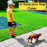 Dog Leash - Retractable Leash for Pets, Puppies, Small and Medium Breeds. Tangle Free 16FT Extendable Leash for Dogs with Removable Poop Bag Dispe...