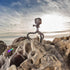 JOBY GorillaPod 325: A Compact, Flexible Tripod for Compact Cameras and Devices up to 325 Grams...