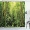 Ambesonne Rainforest Decorations Shower Curtain Set, Tropical Rainforest Landscape Malaysia Asia Green Tree Trunks Uncultivated Wood, Bathroom Acc...