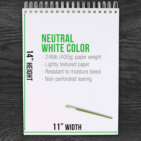 U.S. Art Supply 9" x 12" Premium Extra Heavy-Weight Acrylic Painting Paper Pad, 246 Pound (400gsm), Spiral Bound, Pad of 12-Sheets (Pack of 2 Pads...