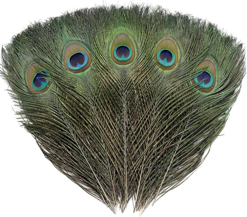 12 PCS Real Natural Peacock Eye Feathers 10-12 inch for DIY Craft, Wedding and Holiday Decorations...