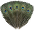 12 PCS Real Natural Peacock Eye Feathers 10-12 inch for DIY Craft, Wedding and Holiday Decorations...