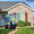 Van Gogh Starry Cat Welcome Garden Flag 12 x 18 inch Double Sided Oil Paint Cat Yard Flags Small Burlap Flag for Outside Decor (Starry Cat)...