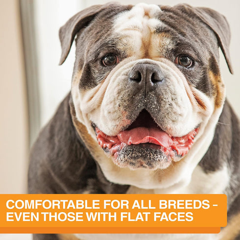 The Niner Slow Feed Bowl - Raised Peaks Slow Down Pets Eating - Fits Elevated Feeders Including Neater Feeder Large Sizes - Gentle on Teeth and Gu...