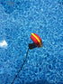 Float Switch Orientation Cable Weight, Sump Pumps, Level Switches, Septic (Single Unit)...