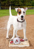 MLB ARIZONA DIAMONDBACKS Baseball Rope Toy for DOGS & CATS. Tough nylon, Sporty Baseball Design, Heavy-duty ropes with Inner SQUEAKER...
