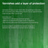 Winsor & Newton Professional Dammar Varnish, 75ml (2.5-oz) Bottle...