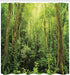 Ambesonne Rainforest Decorations Shower Curtain Set, Tropical Rainforest Landscape Malaysia Asia Green Tree Trunks Uncultivated Wood, Bathroom Acc...