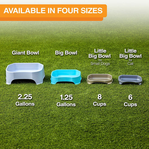 Neater Pet Brands Big Bowl - Extra Large Bowl for Cats or Small Dogs - Large Surface Area (8 Cups Capacity, Gunmetal Grey)...