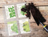 Samsill 40 Pack Heavy Weight 4 Pocket Garden Seeds Storage Clear Sheet Protectors, Seed Organizer, Each Pocket Measures 3.5" x 5.25", Fits in Stan...