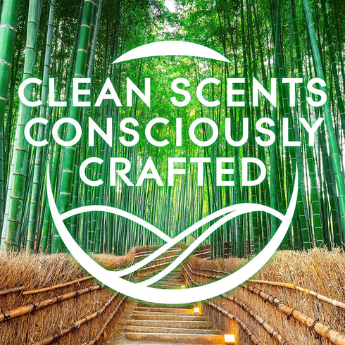 Bamboo & Waterlily Bliss PlugIns® Scented Oil 2 Refills...