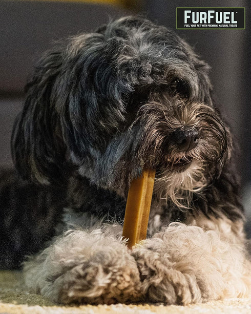 Large Yak Cheese Himalayan Dog Chews Large Breed & Medium Breed Treats, 3 Pack. Himalayan Yak Chews for Large Dogs. All Natural Yak Bones...