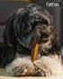 Large Yak Cheese Himalayan Dog Chews Large Breed & Medium Breed Treats, 3 Pack. Himalayan Yak Chews for Large Dogs. All Natural Yak Bones...