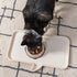 IRIS USA 4 Cups Slow Feeder Dog Bowl, Anti-Choking, Anti-Slip, Easy to Clean, Interactive Puzzle Toy, Healthy Digestion, Long snouted, Dogs Cats &...