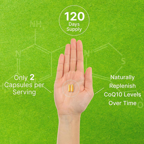 DEAL SUPPLEMENT CoQ10 200mg & PQQ 200mcg, 240 Veggie Capsules – 2 in 1 Coenzyme Q10 Supplement for Better Absorption – Antioxidant Support for Ene...