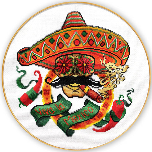 Povitrulya Counted Cross Stitch Kit for Adults “Viva la Mexico” - Day of The Dead, Día de los Muertos, Halloween, Mexican, Latino Hand Embroidery ...