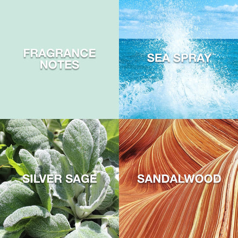 Lucky Brand Re/Balance The New Sustainably-Inspired & Harmonious Mood-Evoking Unisex Fine Fragrance Mist For Women & Men, 8.0 Fl Oz (Pack of 1)...