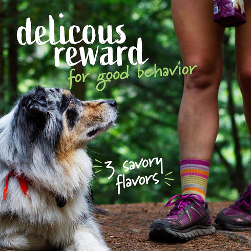 Pet Naturals Superfood Dog Treats with Blueberry and Kale - No Corn, Wheat or Artificial Ingredients - Healthy Snacks for Good Behavior and Traini...