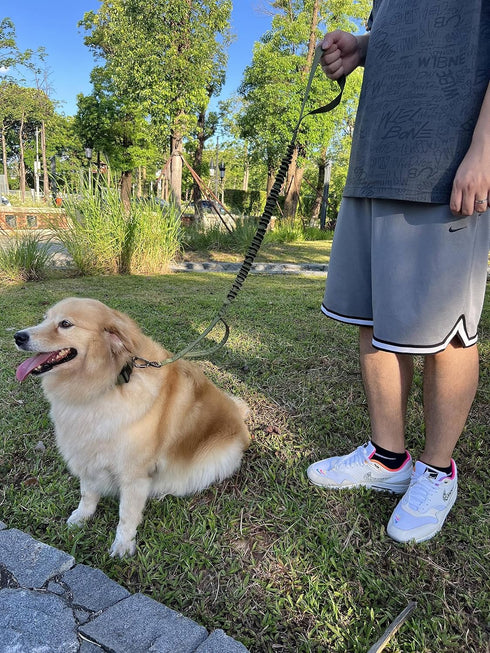 Tactical Dog Leash, Heavy Duty Dog Leash Bungee for Medium and Large Dogs, No Pull Dog Leash for Shock Absorption, 2 Handles Dog Training Leash(Ma...