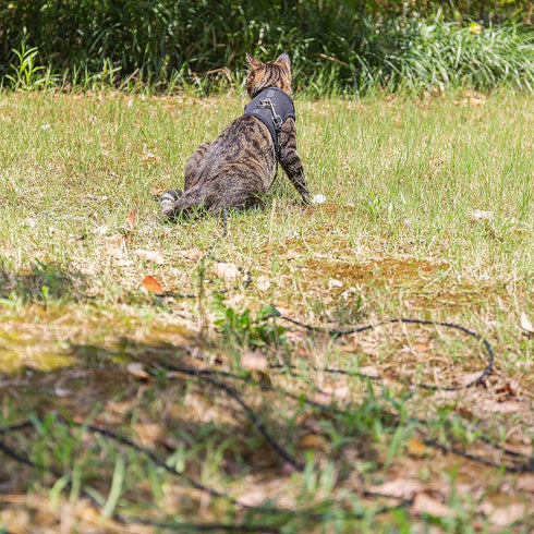 Cat Leash - 15 ft / 30ft Reflective Long Cat Leash Outdoor for Walking Training Playing - Escape Proof Yard Lead Pet Leash Also for Cats, Small Do...