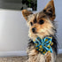 Huxley & Kent Pet Pinwheel | Lucky Ducky (Large) | Easter Spring Velcro Collar Accessory for Dogs/Cats | Bow Collar Attachment | Cute, Comfortable...