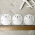 Tumbler Home Sand Dollars and Starfish for Crafts, 3 Real Starfish (4"-6") and 3 Sand Dollars (3"-3.5") in Bulk...