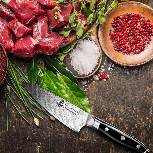 TUO Paring Knife 3.5 Inch - Ultra Sharp Peeling Knife - High Carbon Stainless Steel - Full Tang G10 Handle with Gift Box - Black Hawk S Series...