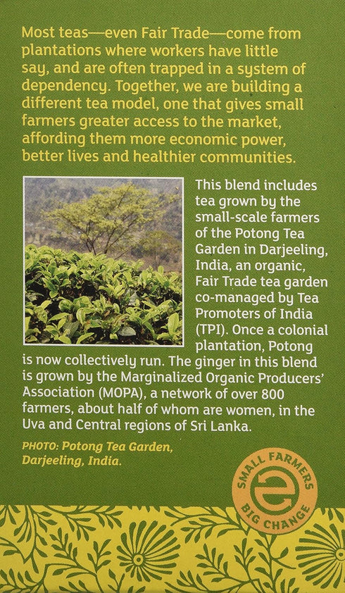 Equal Exchange Organic Green Tea with Ginger, 20 Count...