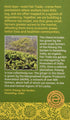 Equal Exchange Organic Green Tea with Ginger, 20 Count...