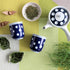 Flowery Jasmine, Loose Leaf Green Tea - Caffeinated | bulk 8oz, 80-100 cups | The Spice Hut, First Sip of Tea...