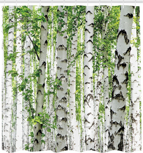 Ambesonne Woodland Shower Curtain, Birch Trees in The Forest Summertime Wildlife Nature Outdoors Themed Picture, Cloth Fabric Bathroom Decor Set w...