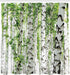 Ambesonne Woodland Shower Curtain, Birch Trees in The Forest Summertime Wildlife Nature Outdoors Themed Picture, Cloth Fabric Bathroom Decor Set w...